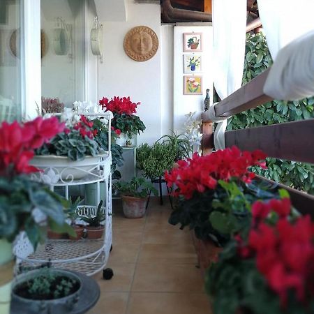 Bed and Breakfast Casa Di Amici Кампаньяно-ди-Рома Экстерьер фото