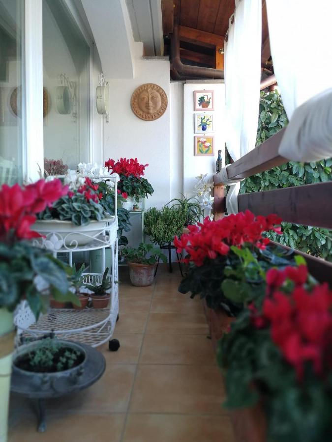Bed and Breakfast Casa Di Amici Кампаньяно-ди-Рома Экстерьер фото